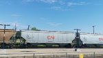 CN 113630